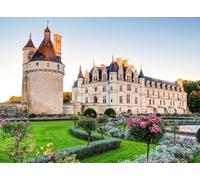 Puzzle 100 pièces en Tilleul, Images artistiques colorées et Lumineuses, Dessin animé, décoration de la Maison, château de Chenonceau, pelouse, 45,5 x 35,5 cm