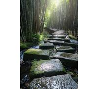 Puzzle 100 Pieces Forêts Bambous, Jeu éducatif Défi Jouets Stimule Concentration et Imagination, Puzzle Adulte 100 Pièces 40 x 28 cm