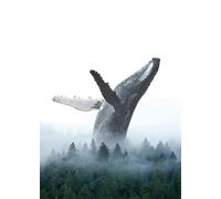 Puzzle 100 Pieces, Jungle Baleines, 40x28 cm Divertissement Créatif, Jeu éducatif Challenge Toy, Cadeau Garcon et Fille, Puzzle Adulte 100 Pièces