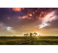 Puzzle 100 pièces, Paysage Naturel, Lever de Soleil, Finlande, Nuages 45,5x35,5CM