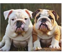 Puzzle 100 pièces pour Adultes, Bouledogue Anglais, Accessoires pour Jeunes Enfants, Jeux Amusants, Jouets éducatifs, Cadeaux Modernes pour Amoureux des Chiens, 45,5 x 35,5 cm