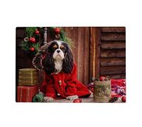 Puzzle 100 pièces pour Adultes - Chien Cavalier King Charles Spaniel 45,5x35,5CM