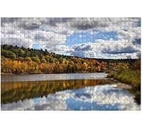 Puzzle 100 pièces pour Adultes et Enfants. Reflets des Feuilles d'automne sur Le fleuve Saint-Jean. Puzzle imprimé. Puzzles pour Femmes, Enfants et Adultes. 45,5 x 35,5 cm.