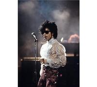Puzzle 100 pièces Singer Prince.R Wandbild Poster pour la Famille Buntes Legspiel Kx252Zy 45,5x35,5CM
