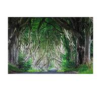 Puzzle 100 pièces The Dark Hedges County Antrim Irlande Ensembles de Puzzles Jeux de Famille Puzzle Durable pour Adultes Cadeau Puzzles pour Adolescents 45,5x35,5CM