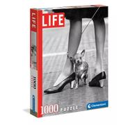 Puzzle 1000 elementów. Life Collection. Chihuahua Clementoni