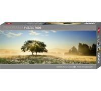 Puzzle 1000 pcs Panorama Play of Light