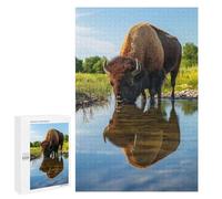 Puzzle 1000 PCS pour Adolescents Bison Drinking from Pond Wildlife Photo Jeux De Puzzle Relaxants, Défi Difficile, Cadeaux Uniques pour Anniversaire Et Noël 1000 PCS
