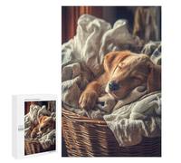 Puzzle 1000 PCS pour Adolescents Sleeping Puppy in Laundry Basket Puzzle Jeux De Famille Assemblage De Motifs Cadeaux Uniques pour Anniversaire Et Noël 1000 PCS