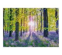 Puzzle 1000 pcs Tapis de campanules dans les bois Vert G