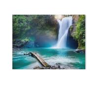 Puzzle 1000 Pièces Adulte en Papier，Cascade cachée dans la Jungle Tropicale，Premium Puzzle dès 14 Ans（38x26cm）-I16
