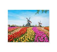 Puzzle 1000 Pièces Adulte Enfant Adultes en Bois Puzzles，Paysage avec Tulipes, moulins à Vent et Maisons aux Pays-Bas，Cadeau Déco À La Maison Moderne Festival Bricolage Cadeau Jeu Intellectuel-Q32