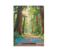 Puzzle 1000 Pièces Adultes，Avenue of Giants Californie，Puzzle en Papier DIY Jeu De Famille,Jeu De Team Building,Cadeau pour Les Amants Ou Les Amis（50x70cm）-HN74