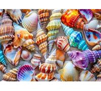 Puzzle 1000 Pieces Adultes Coquillage 75 x 50 cm Puzzle Adulte Jeu éducatif défi Jouet Puzzle Impossible 1000 Pièces Puzzles