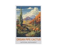 Puzzle 1000 Pièces Adultes，Monument National du Cactus Organ Pipe，Jouets Cadeaux Éducatifs pour Les Vacances pour La Famille Et Les Amis（38x26cm）-GI2