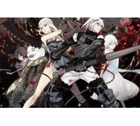 Puzzle 1000 pièces, Affiche du Jeu d'animation Japonais « Réincarnations », Jouets éducatifs pour Adultes et Enfants, Qw725Zp, 38 x 52 cm