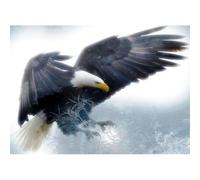 Puzzle 1000 pièces,Aigle Volant Puzzl pour Adultes, Puzzles pour Adultes Jeu éducatif Défi Jouet, Jeu d'adresse pour Toute la Famille, Puzzle pour Adulte Enfants