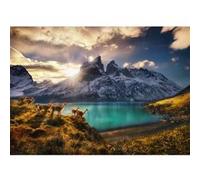 Heye - Puzzle Guanacos 1000 Pièces, 29815