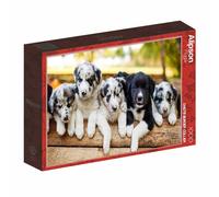 Puzzle 1000 pièces Alipson ALI50079 Chiots Border Collier 69 x 47,8 cm Boîte bordure rouge