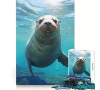 Puzzle 1000 pièces Ami des Otaries pour Adultes, Jouet Intelligent, Passe-Temps à la Maison, Bords Lisses, Objet de Collection (38x26cm)