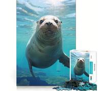 Puzzle 1000 pièces Ami des Otaries pour Adultes, Jouet Intelligent, Passe-Temps à la Maison, Bords Lisses, Objet de Collection (38x26cm)