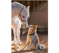 Puzzle 1000 pièces : Amitié unique Castorland G