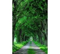 Puzzle 1000 Pieces Arbres Feuilles Vertes, Jeu éducatif Défi Jouets Stimule Concentration et Imagination, Puzzle Adulte 1000 Pièces 75 x 50 cm