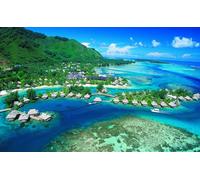 Puzzle 1000 pièces Art Tahiti en Polynésie française Islande 50x70CM