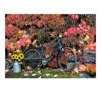 Puzzle 1000 pièces : Automne Piatnik G