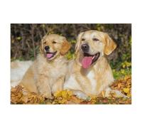 Puzzle 1000 Pièces，avec Son Grand ami, il se Sent en sécurité，3D Adultes Papier Jouets Éducatifs Meilleur Cadeau d'anniversaire Garçons Filles（50x70cm）-AL56