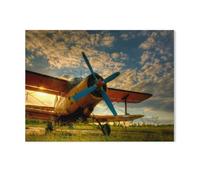 Puzzle 1000 Pièces，Avion Historique sur l’Herbe Verte au Coucher du Soleil， 1000 Pièces Idéal pour La Relaxation Méditation Passe-Temps Cadeau d'anniversaire-H29