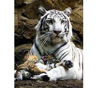 Puzzle 1000 Pièces Bébé Tigre Blanc Bébé Tigre Jouets Éducatifs Pour Enfants