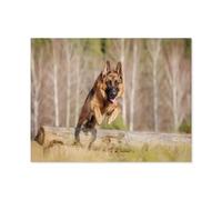 Puzzle 1000 Pièces，Berger Allemand sautant par-Dessus Un Tronc d’Arbre，Casse-tête Animal pour Adultes - Défi Cérébral - Cadeau Personnalisé Fait Main - Jouet Drôle（50x70cm）-D13