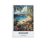 Puzzle 1000 pièces, Bonaire Caraïbes, Puzzle en Bois 1000 pièces, Jouet éducatif pour Adultes et Enfants, Jeu de détente Familial, 70 x 50 cm