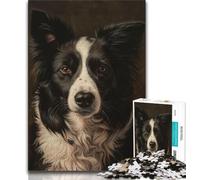 Puzzle 1000 pièces Border Collie, Jeu éducatif et intellectuel pour Anniversaire et Noël (75x50cm)