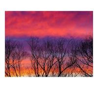 Puzzle 1000 Pièces,Bricolage Moderne Art Mural Cadeau-Arbres,Ciel,Nuages,crépuscule,Sombre 70x50cm