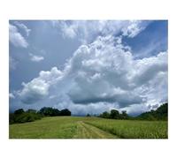 Puzzle 1000 Pièces,Bricolage Moderne Art Mural Cadeau-Champ,Chemin,Nuages 70x50cm