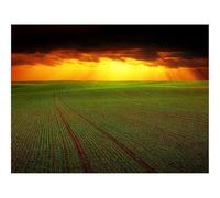 Puzzle 1000 Pièces,Bricolage Moderne Art Mural Cadeau-Champ,Nuages,Horizon 70x50cm