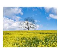 Puzzle 1000 Pièces,Bricolage Moderne Art Mural Cadeau-Fleurs,Champ,Arbre 70x50cm