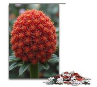 Puzzle 1000 pièces Bruissement de Fleurs de dattes pour Adultes idéal pour Les Adolescents de 14 Ans et Plus 1000 pièces (38 x 26 cm)