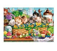 Puzzle 1000 Pièces Castorland - Chatons Qui Font La Sieste