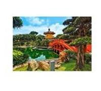 Puzzle 1000 pièces Castorland - Jardin Nan Lian, Honk Kong multicolore G