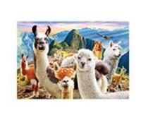 Puzzle 1000 pièces Castorland - Lamas Selfie multicolore G