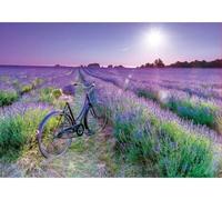 Puzzle 1000 Pieces Champ de Lavande et Le vélo - Set Collection Paysage de Campagne + 1 Carte Tigre