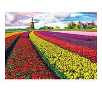 EuroGraphics- Tulip Field-Netherlands Puzzle de 1000 pièces, 6000-5326, Multicolore