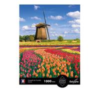 Puzzle 1000 pièces : Champs de tulipes Hollande