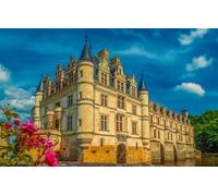 Puzzle 1000 pièces, Château de Chenonceau, France, Cadeaux pour Enfants, 38 x 52 cm