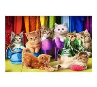 EuroGraphics Puzzle 1000 pièces Chaton Pride, EG60005543, Coloris Assortis
