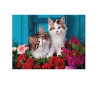 Puzzle 1000 pièces，Chatons，Puzzle 1000 Pieces Enfant Jeu d'adresse pour Toute la Famille, Jeu de Placement coloré（38x26cm）-R46