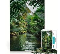 Puzzle 1000 pièces Chemin de rivière Tropical Bords Parfaits Jeu cognitif et Amusant Jeu de Relaxation Décoration Artistique de Noël (50x75cm)